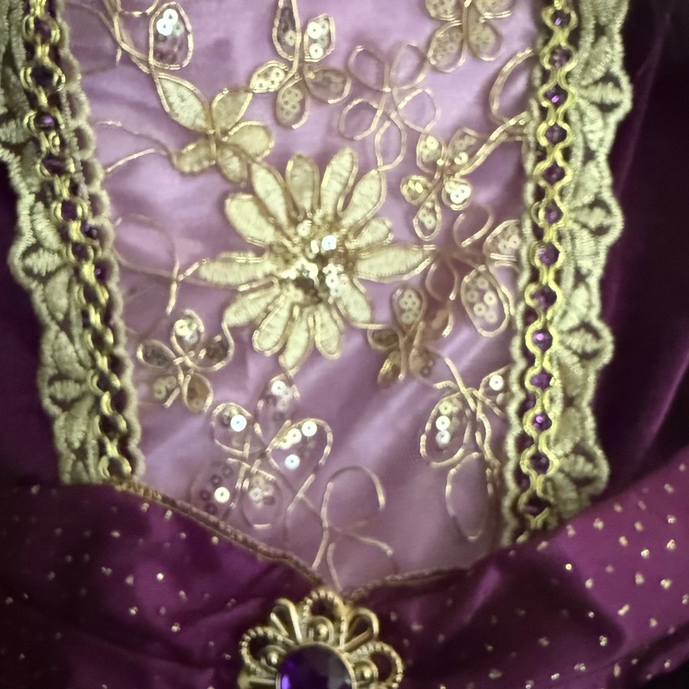 Princess Gown - Picture 4 of 5